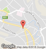 Google Static Map