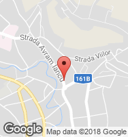 Google Static Map
