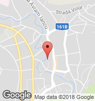 Google Static Map