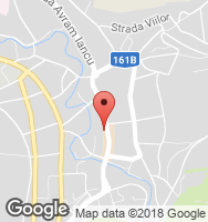 Google Static Map