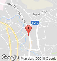 Google Static Map