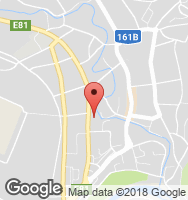 Google Static Map