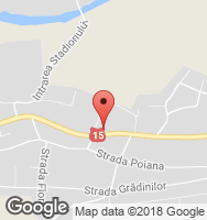 Google Static Map