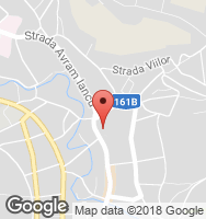 Google Static Map
