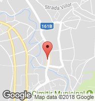 Google Static Map