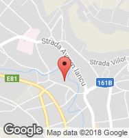 Google Static Map