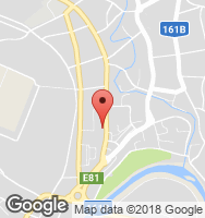 Google Static Map