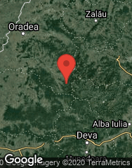 Google Static Map