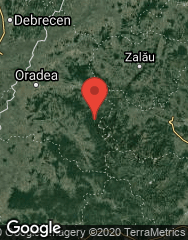 Google Static Map